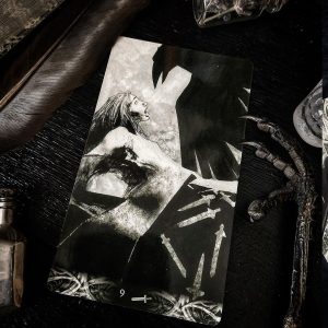 Murder of Crows Tarot - Ảnh 8