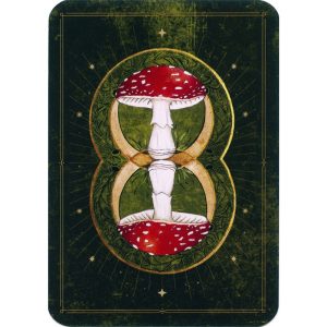 Mushroom Spirit Oracle - Ảnh 11