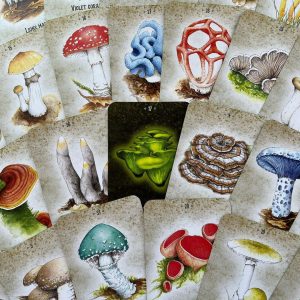 Mushroom Spirit Oracle - Ảnh 14
