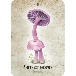 Mushroom Spirit Oracle - Ảnh 3