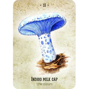 Mushroom Spirit Oracle - Ảnh 5