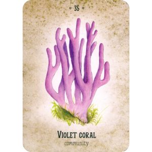 Mushroom Spirit Oracle - Ảnh 6