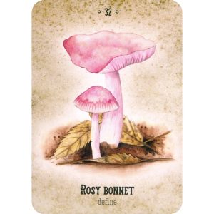 Mushroom Spirit Oracle - Ảnh 7