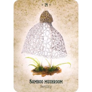 Mushroom Spirit Oracle - Ảnh 8