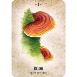 Mushroom Spirit Oracle - Ảnh 9