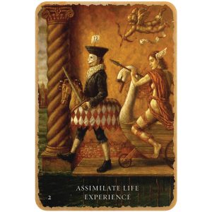 Mystical Healing Reading Cards - Ảnh 2