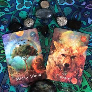 Mystical Shaman Oracle Cards - Ảnh 10
