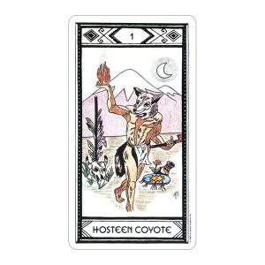 Native American Tarot - US Games - Ảnh 7