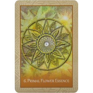 Native Heart Healing Oracle - Ảnh 3