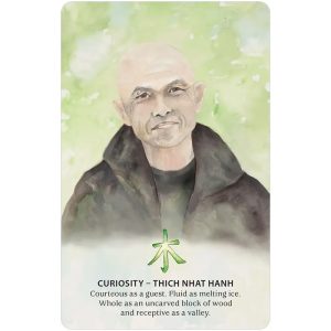 Nature Quest Oracle - Ảnh 7