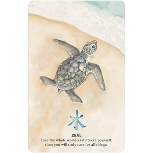 Nature Quest Oracle - Ảnh 8