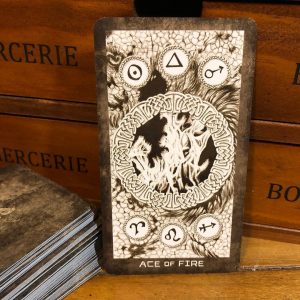 New Era Elements Tarot - Ảnh 11