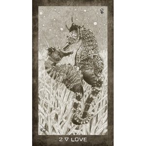 New Era Elements Tarot - Ảnh 6