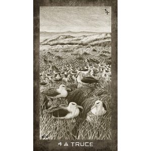 New Era Elements Tarot - Ảnh 5