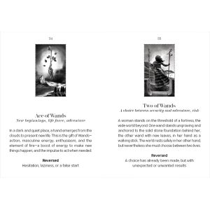Nightfall Tarot - Ảnh 9