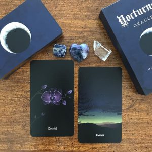 Nocturna Oracle - Ảnh 9