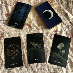 Nocturna Oracle - Ảnh 8
