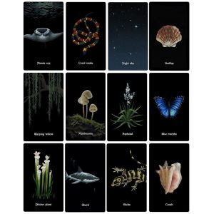 Nocturna Oracle - Ảnh 3