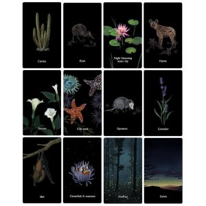 Nocturna Oracle - Ảnh 5