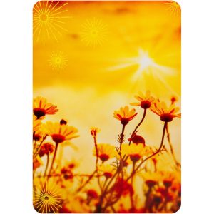 Notes from the Universe on Abundance Cards - Ảnh 6