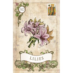 Old Style Lenormand - Ảnh 6