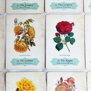 Oracle of the Roses - Ảnh 12