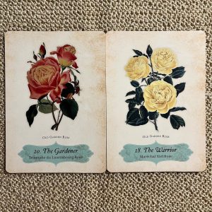 Oracle of the Roses - Ảnh 11