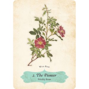 Oracle of the Roses - Ảnh 3