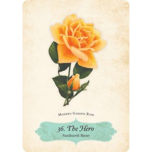 Oracle of the Roses - Ảnh 5