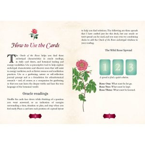 Oracle of the Roses - Ảnh 9
