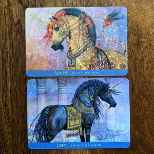 Oracle of the Sacred Horse - Ảnh 10