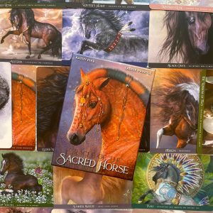 Oracle of the Sacred Horse - Ảnh 15