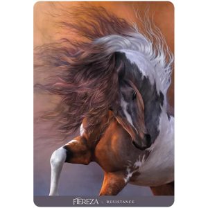Oracle of the Sacred Horse - Ảnh 3