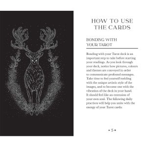 Oriens Animal Tarot - Pocket Edition - Ảnh 10