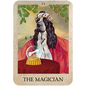Original Dog Tarot - Ảnh 9