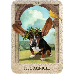Original Dog Tarot - Ảnh 8