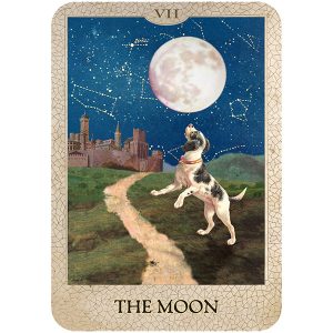 Original Dog Tarot - Ảnh 7