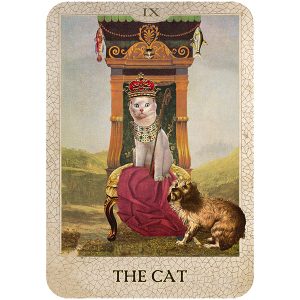 Original Dog Tarot - Ảnh 6