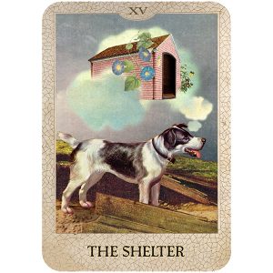 Original Dog Tarot - Ảnh 4