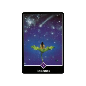Osho Zen Tarot - Ảnh 8