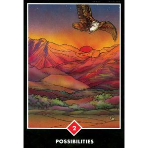 Osho Zen Tarot - Pocket Edition - Ảnh 4