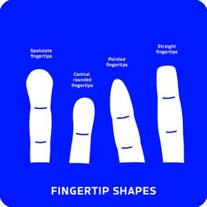 Palmistry Flashcards - Ảnh 4
