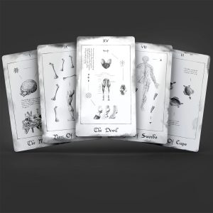 Paracelsus Dreams Tarot - Ảnh 11