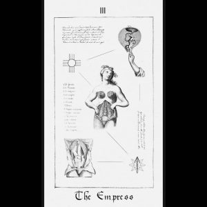 Paracelsus Dreams Tarot - Ảnh 4