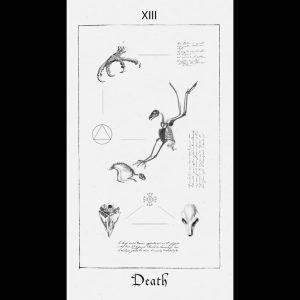 Paracelsus Dreams Tarot - Ảnh 8