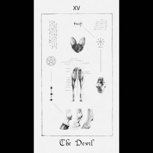 Paracelsus Dreams Tarot - Ảnh 9