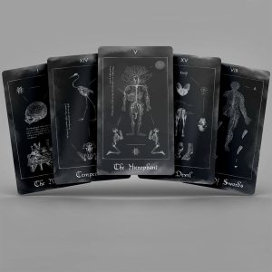 Paracelsus Dreams Tarot - Black Edition - Ảnh 8