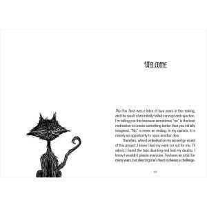Poe Tarot - Ảnh 13