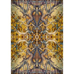 Portraits of a Woman Aspects of a Goddess Inspirational Cards - Ảnh 7