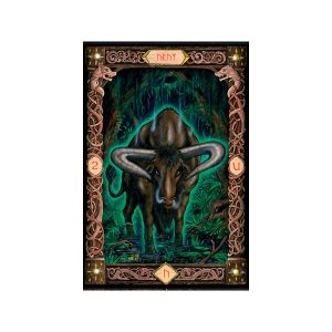 Power of the Runes Deck - Ảnh 4